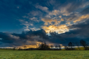 Over the fields