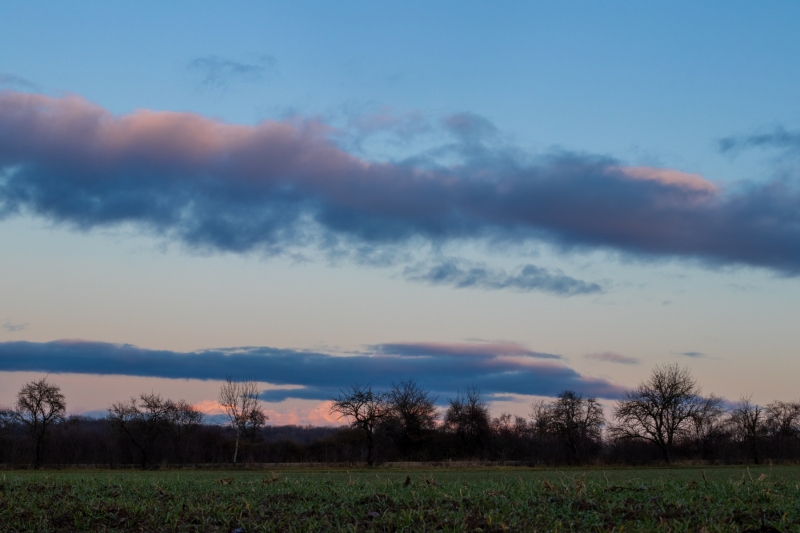 Evening glow over the fields.